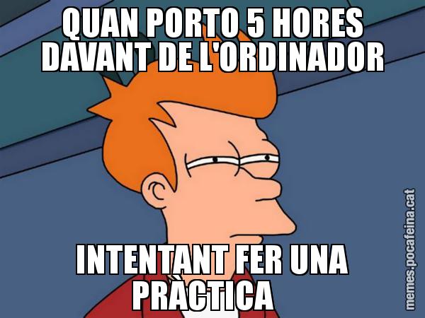 QUAN PORTO 5 HORES DAVANT DE L'ORDINADOR INTENTANT FER UNA PRÀCTICA - Futurama Fry