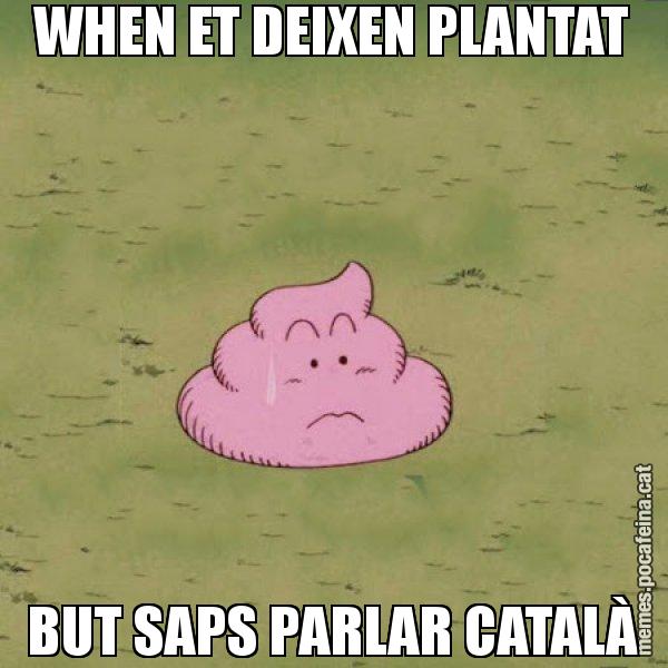 WHEN ET DEIXEN PLANTAT BUT SAPS PARLAR CATALÀ - Caca