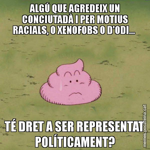 ALGÚ QUE AGREDEIX UN CONCIUTADÀ I PER MOTIUS RACIALS, O XENOFOBS O D'ODI...  TÉ DRET A SER REPRESENTAT POLÍTICAMENT? - Caca