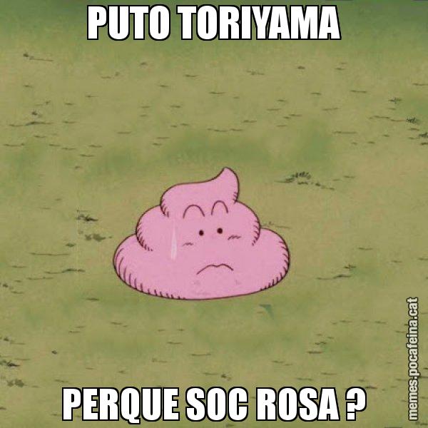 PUTO TORIYAMA PERQUE SOC ROSA ? - Caca