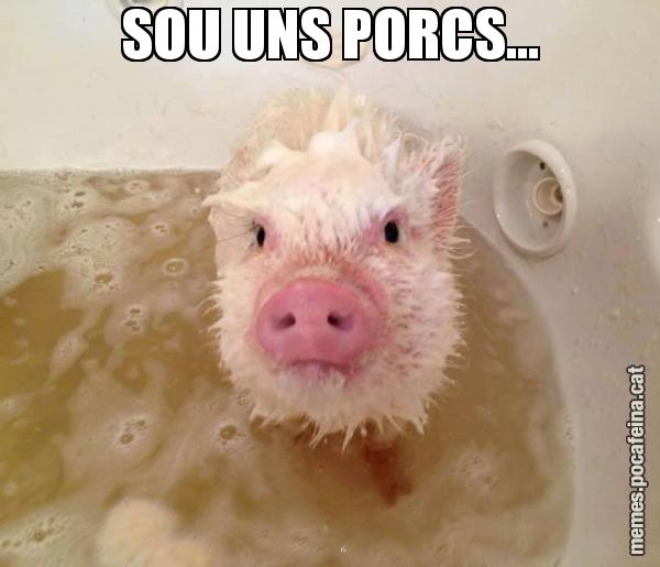 SOU UNS PORCS...