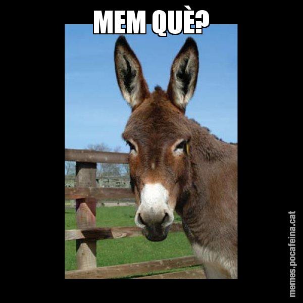 MEM QUÈ? - El burro Català