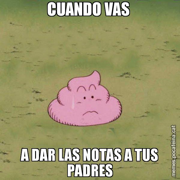 CUANDO VAS  A DAR LAS NOTAS A TUS PADRES - Caca
