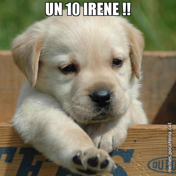 UN 10 IRENE !!