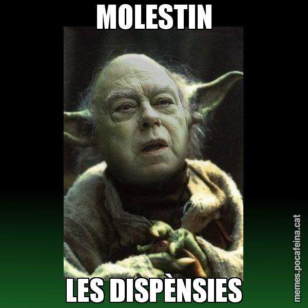 MOLESTIN LES DISPÈNSIES - Yodi Pujol