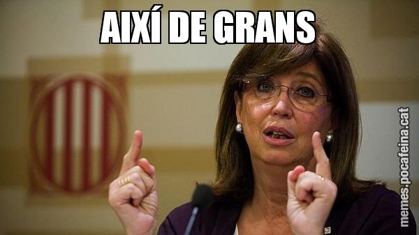 AIXÍ DE GRANS