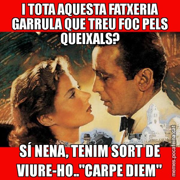 I TOTA AQUESTA FATXERIA GARRULA QUE TREU FOC PELS QUEIXALS? SÍ NENA, TENIM SORT DE VIURE-HO.."CARPE DIEM"