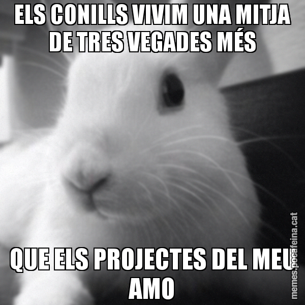 ELS CONILLS VIVIM UNA MITJA DE TRES VEGADES MÉS QUE ELS PROJECTES DEL MEU AMO