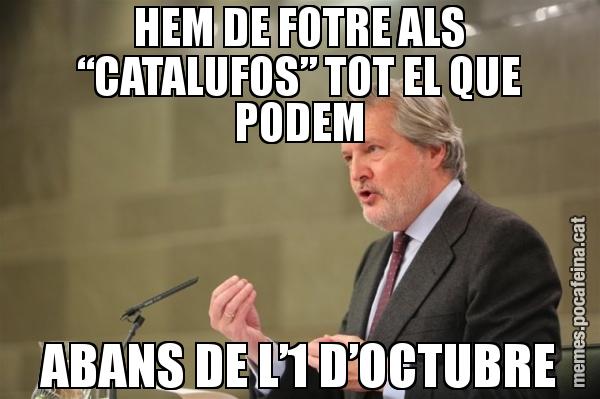 HEM DE FOTRE ALS “CATALUFOS” TOT EL QUE PODEM ABANS DE L’1 D’OCTUBRE