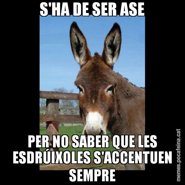S'HA DE SER ASE PER NO SABER QUE LES ESDRÚIXOLES S'ACCENTUEN SEMPRE - El burro Català