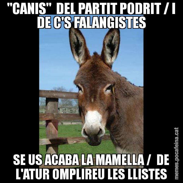 "CANIS"  DEL PARTIT PODRIT / I DE C'S FALANGISTES SE US ACABA LA MAMELLA /  DE L'ATUR OMPLIREU LES LLISTES - El burro Català