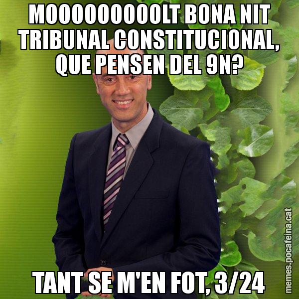 MOOOOOOOOOLT BONA NIT TRIBUNAL CONSTITUCIONAL, QUE PENSEN DEL 9N? TANT SE M'EN FOT, 3/24 - Tomàs Molina