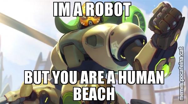 IM A ROBOT  BUT YOU ARE A HUMAN BEACH