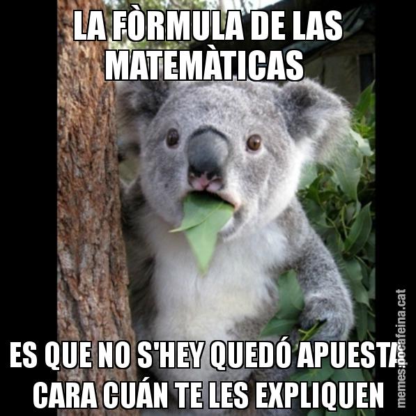 LA FÒRMULA DE LAS MATEMÀTICAS  ES QUE NO S'HEY QUEDÓ APUESTA CARA CUÁN TE LES EXPLIQUEN - Koala Cant Believe It