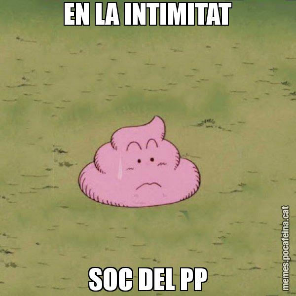 EN LA INTIMITAT SOC DEL PP - Caca