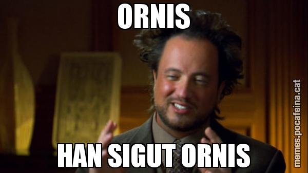 ORNIS HAN SIGUT ORNIS