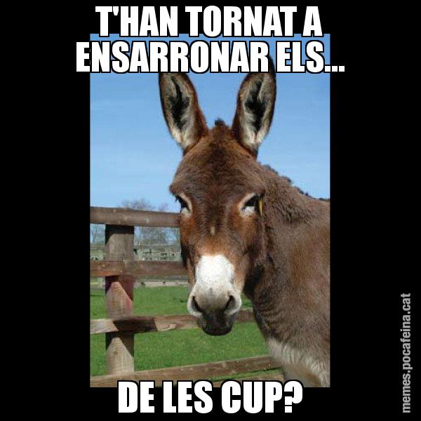 T'HAN TORNAT A ENSARRONAR ELS... DE LES CUP? - El burro Català