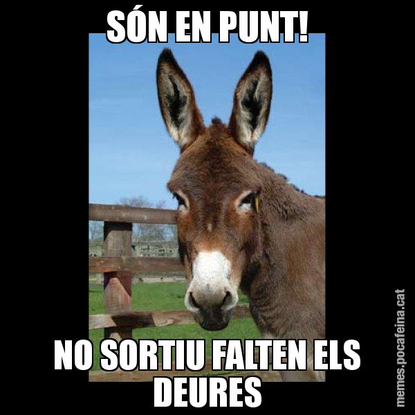 SÓN EN PUNT! NO SORTIU FALTEN ELS DEURES - El burro Català