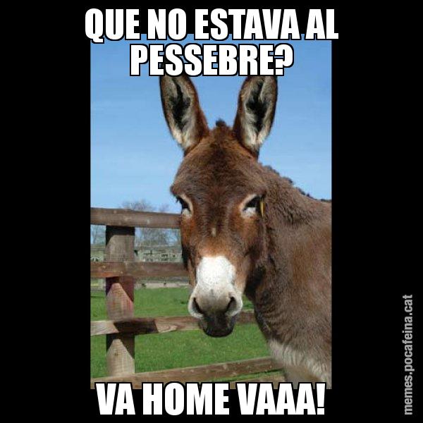 QUE NO ESTAVA AL PESSEBRE? VA HOME VAAA! - El burro Català