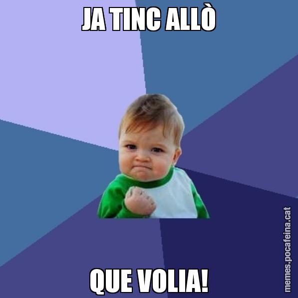 JA TINC ALLÒ QUE VOLIA! - Success Kid