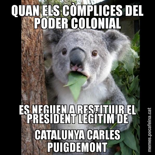 QUAN ELS CÒMPLICES DEL PODER COLONIAL ES NEGUEN A RESTITUIR EL PRESIDENT LEGÍTIM DE CATALUNYA CARLES PUIGDEMONT - Koala Cant Believe It