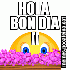 HOLA  BON DIA ¡¡