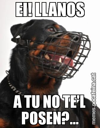 EI! LLANOS A TU NO TE'L POSEN?...