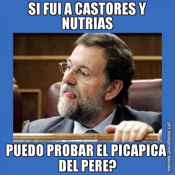 SI FUI A CASTORES Y NUTRIAS PUEDO PROBAR EL PICAPICA  DEL PERE? - Mmmmmariano Rajoy