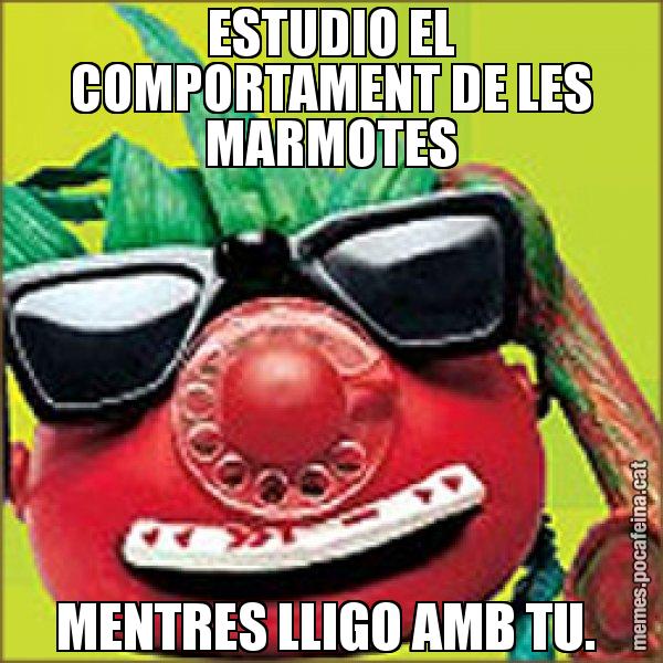 ESTUDIO EL COMPORTAMENT DE LES MARMOTES MENTRES LLIGO AMB TU. - Tomàtic