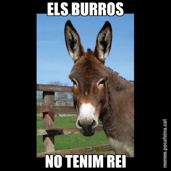 ELS BURROS NO TENIM REI - El burro Català