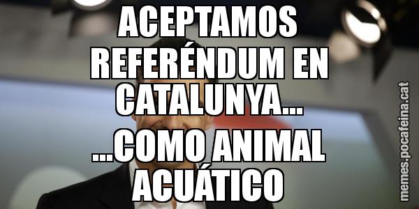ACEPTAMOS REFERÉNDUM EN CATALUNYA... ...COMO ANIMAL ACUÁTICO