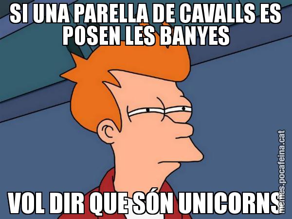 SI UNA PARELLA DE CAVALLS ES POSEN LES BANYES VOL DIR QUE SÓN UNICORNS - Futurama Fry