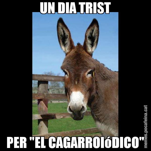 UN DIA TRIST PER "EL CAGARROIóDICO" - El burro Català