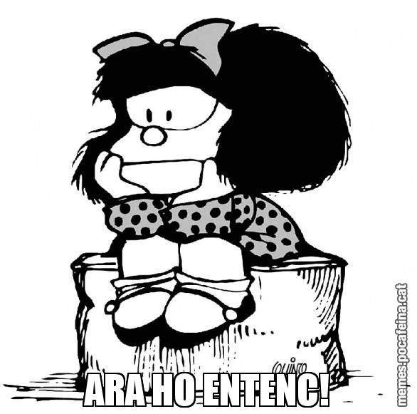 ARA HO ENTENC!