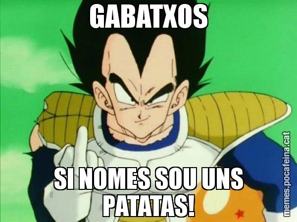 GABATXOS SI NOMES SOU UNS PATATAS! - Vegeta