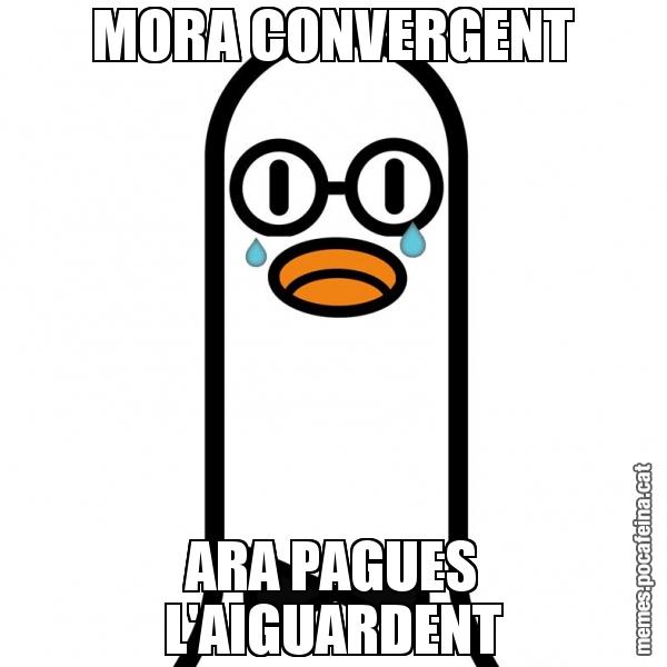 MORA CONVERGENT ARA PAGUES L'AIGUARDENT