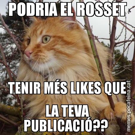 PODRIA EL ROSSET TENIR MÉS LIKES QUE LA TEVA PUBLICACIÓ??