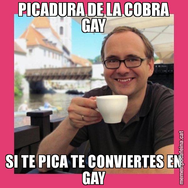PICADURA DE LA COBRA GAY SI TE PICA TE CONVIERTES EN GAY - Puto Gilipolles