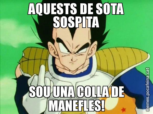 AQUESTS DE SOTA SOSPITA SOU UNA COLLA DE MANEFLES! - Vegeta