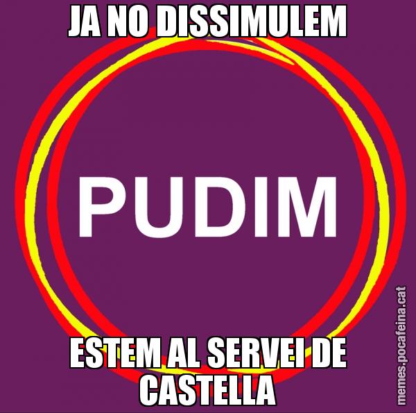 JA NO DISSIMULEM ESTEM AL SERVEI DE CASTELLA