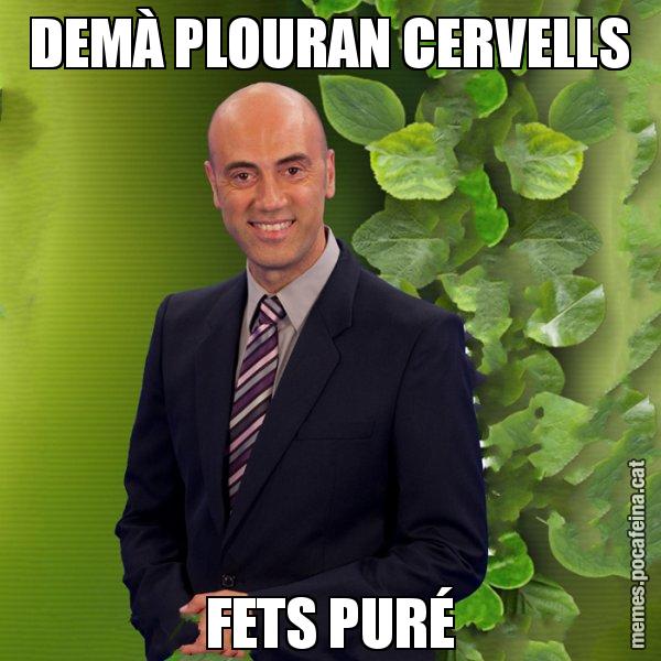 DEMÀ PLOURAN CERVELLS FETS PURÉ - Tomàs Molina