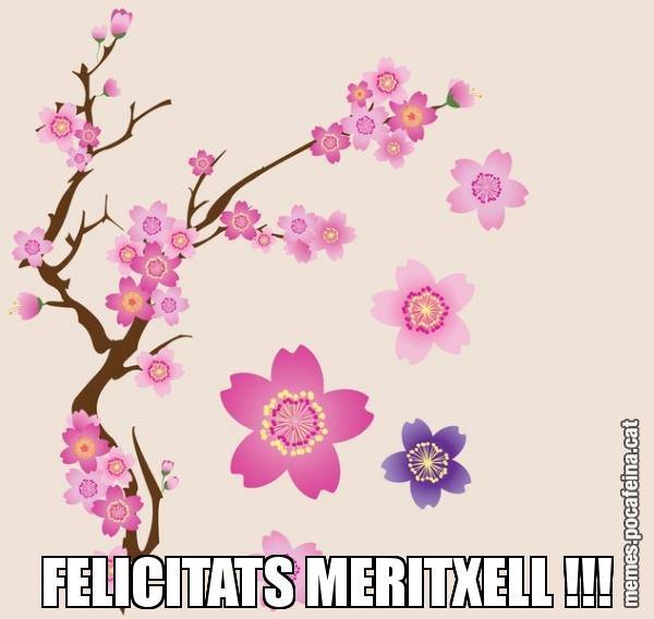 FELICITATS MERITXELL !!!