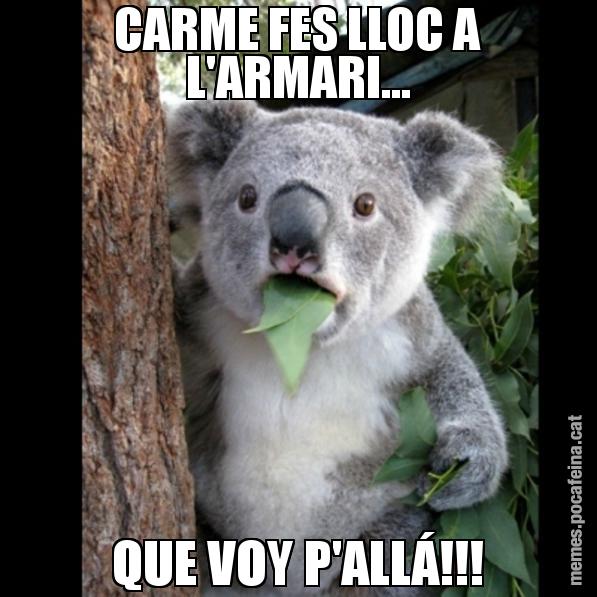 CARME FES LLOC A L'ARMARI... QUE VOY P'ALLÁ!!! - Koala Cant Believe It