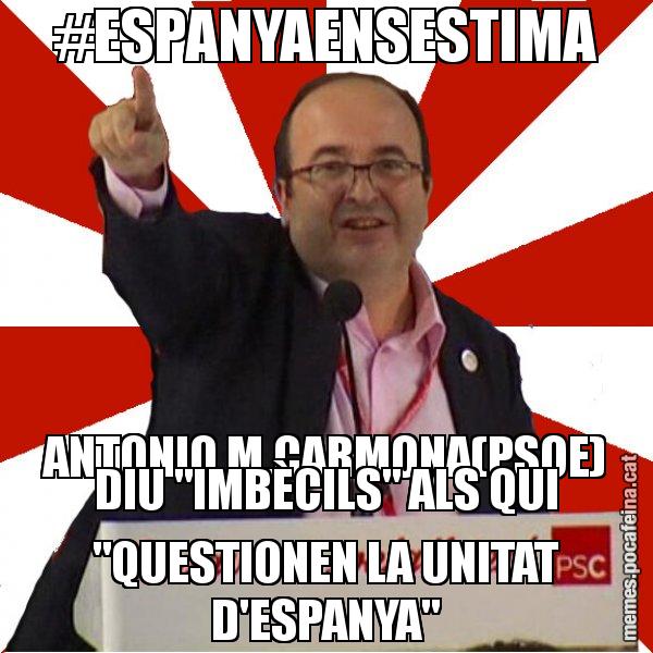 #ESPANYAENSESTIMA ANTONIO M.CARMONA(PSOE) DIU "IMBÈCILS" ALS QUI "QUESTIONEN LA UNITAT D'ESPANYA" - Miquel Iceta