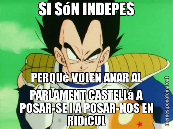 SI SóN INDEPES PERQUè VOLEN ANAR AL PARLAMENT CASTELLà A POSAR-SE I A POSAR-NOS EN RIDíCUL - Vegeta