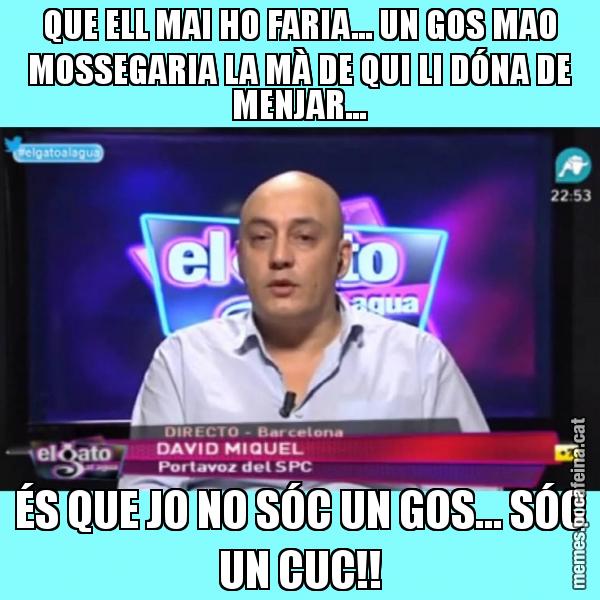 QUE ELL MAI HO FARIA... UN GOS MAO MOSSEGARIA LA MÀ DE QUI LI DÓNA DE MENJAR... ÉS QUE JO NO SÓC UN GOS... SÓC UN CUC!!