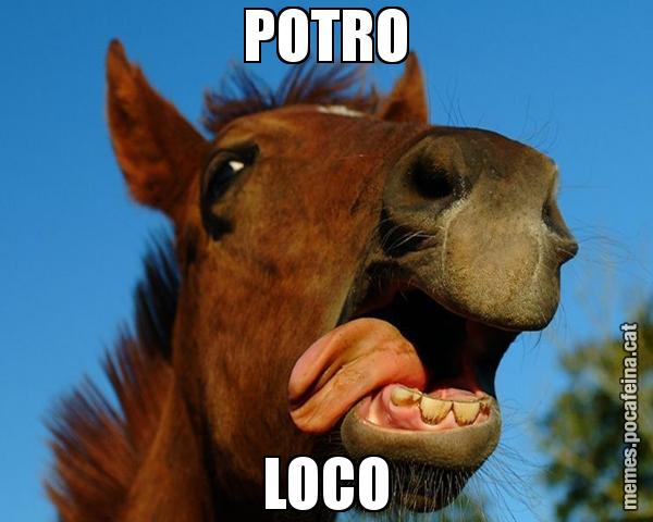 POTRO LOCO