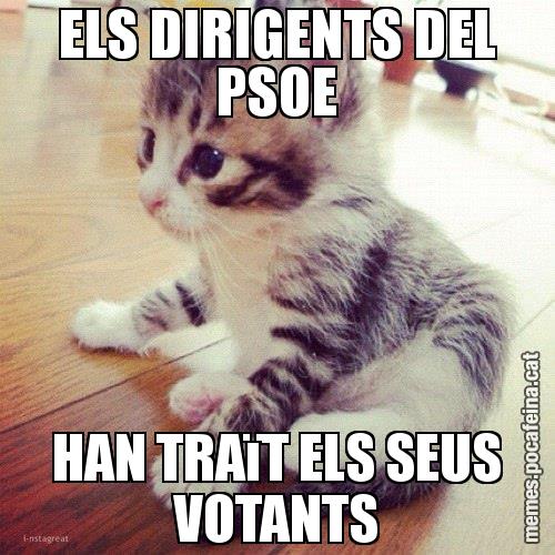 ELS DIRIGENTS DEL PSOE HAN TRAïT ELS SEUS VOTANTS