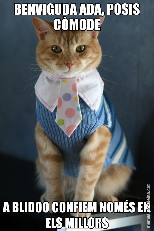 BENVIGUDA ADA, POSIS CÒMODE A BLIDOO CONFIEM NOMÉS EN ELS MILLORS