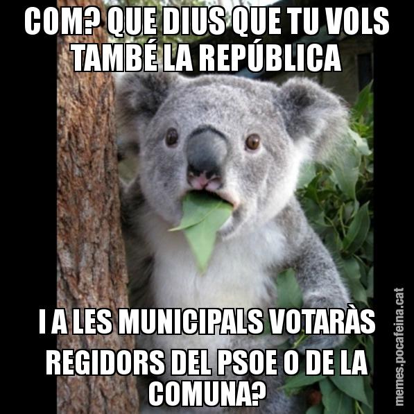 COM? QUE DIUS QUE TU VOLS TAMBÉ LA REPÚBLICA I A LES MUNICIPALS VOTARÀS REGIDORS DEL PSOE O DE LA COMUNA? - Koala Cant Believe It
